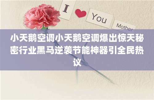 小天鹅空调小天鹅空调爆出惊天秘密行业黑马逆袭节能神器引全民热议