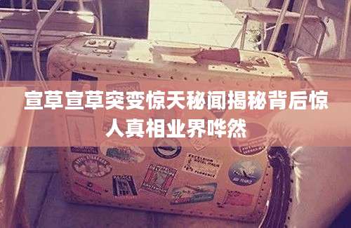 宣草宣草突变惊天秘闻揭秘背后惊人真相业界哗然