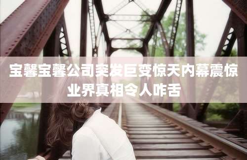 宝馨宝馨公司突发巨变惊天内幕震惊业界真相令人咋舌