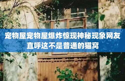 宠物屋宠物屋爆炸惊现神秘现象网友直呼这不是普通的猫窝