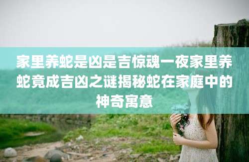 家里养蛇是凶是吉惊魂一夜家里养蛇竟成吉凶之谜揭秘蛇在家庭中的神奇寓意