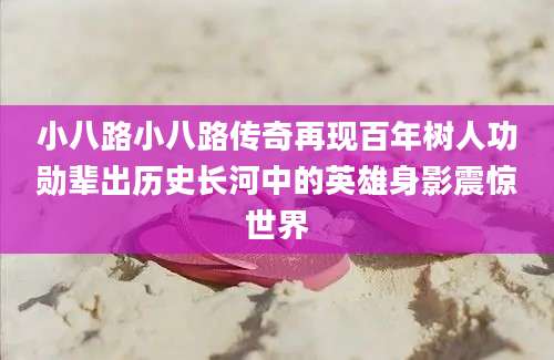 小八路小八路传奇再现百年树人功勋辈出历史长河中的英雄身影震惊世界