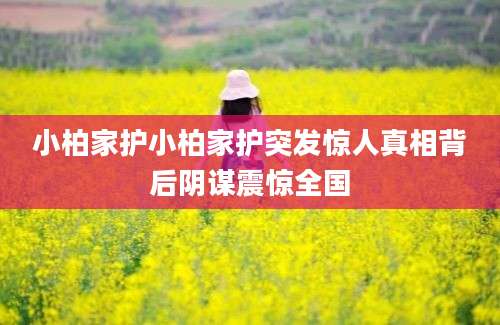 小柏家护小柏家护突发惊人真相背后阴谋震惊全国