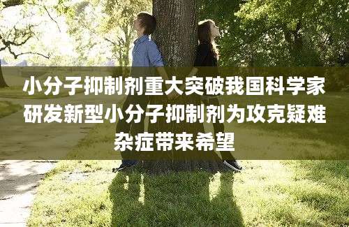 小分子抑制剂重大突破我国科学家研发新型小分子抑制剂为攻克疑难杂症带来希望