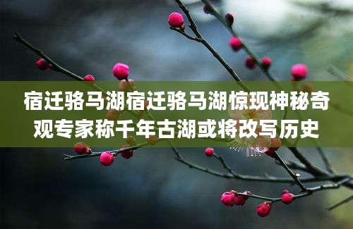 宿迁骆马湖宿迁骆马湖惊现神秘奇观专家称千年古湖或将改写历史