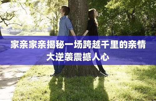 家亲家亲揭秘一场跨越千里的亲情大逆袭震撼人心