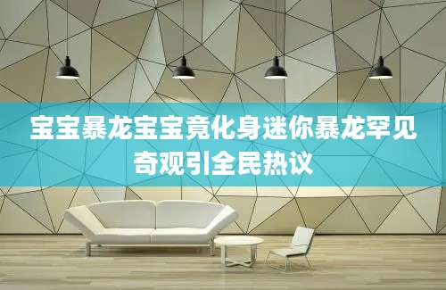 宝宝暴龙宝宝竟化身迷你暴龙罕见奇观引全民热议