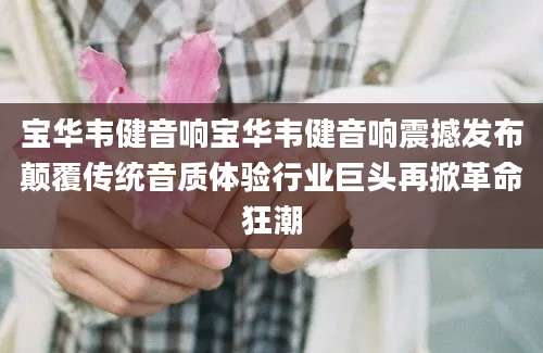 宝华韦健音响宝华韦健音响震撼发布颠覆传统音质体验行业巨头再掀革命狂潮