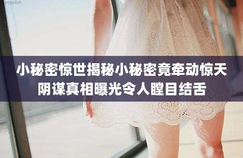 小秘密惊世揭秘小秘密竟牵动惊天阴谋真相曝光令人瞠目结舌