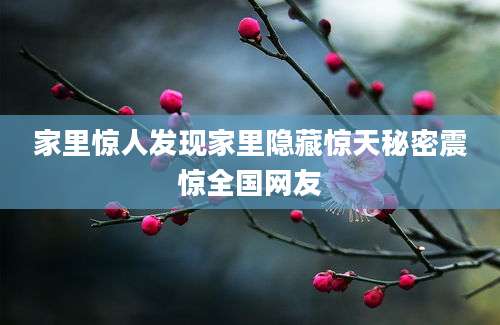 家里惊人发现家里隐藏惊天秘密震惊全国网友