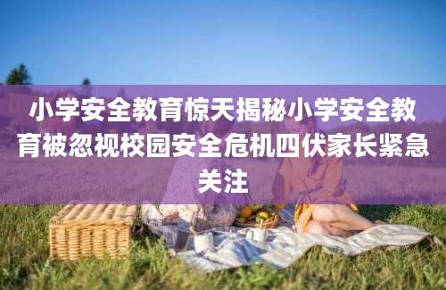小学安全教育惊天揭秘小学安全教育被忽视校园安全危机四伏家长紧急关注