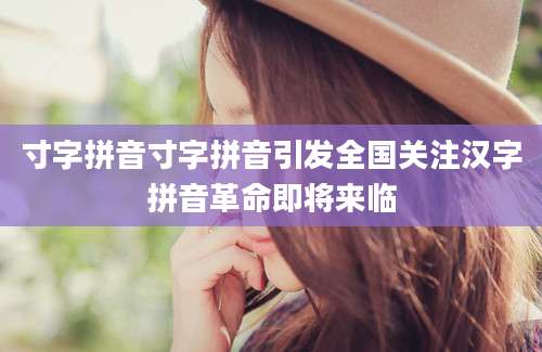 寸字拼音寸字拼音引发全国关注汉字拼音革命即将来临