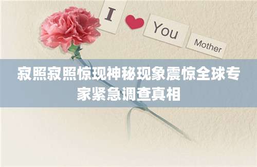 寂照寂照惊现神秘现象震惊全球专家紧急调查真相
