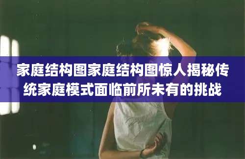 家庭结构图家庭结构图惊人揭秘传统家庭模式面临前所未有的挑战