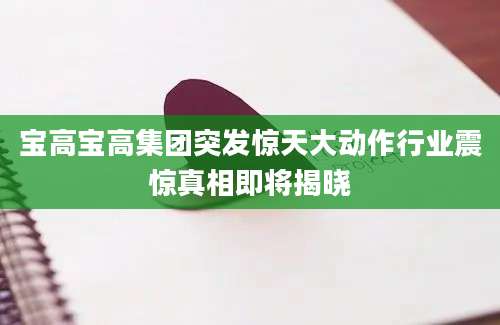 宝高宝高集团突发惊天大动作行业震惊真相即将揭晓