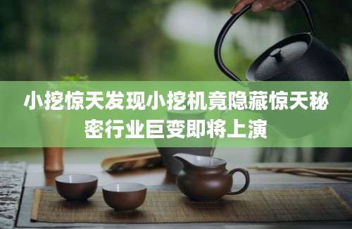 小挖惊天发现小挖机竟隐藏惊天秘密行业巨变即将上演