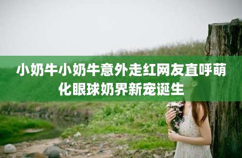 小奶牛小奶牛意外走红网友直呼萌化眼球奶界新宠诞生