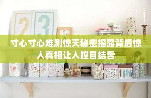 寸心寸心难测惊天秘密揭露背后惊人真相让人瞠目结舌