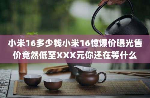 小米16多少钱小米16惊爆价曝光售价竟然低至XXX元你还在等什么