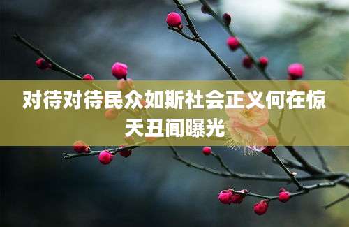 对待对待民众如斯社会正义何在惊天丑闻曝光