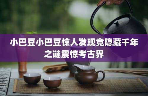 小巴豆小巴豆惊人发现竟隐藏千年之谜震惊考古界