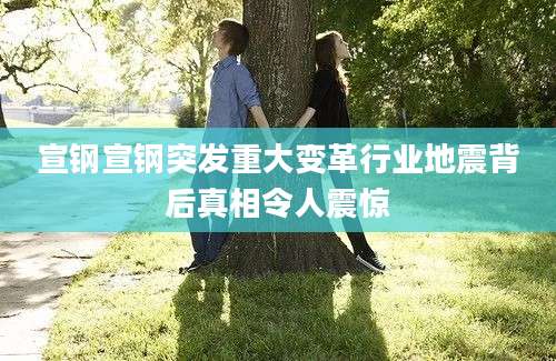 宣钢宣钢突发重大变革行业地震背后真相令人震惊