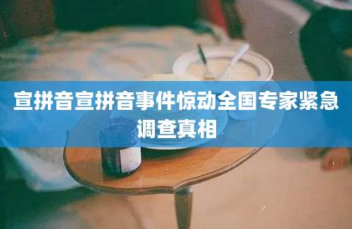 宣拼音宣拼音事件惊动全国专家紧急调查真相