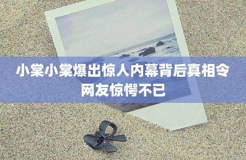 小棠小棠爆出惊人内幕背后真相令网友惊愕不已