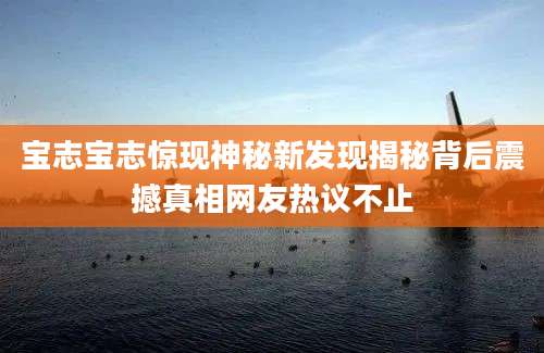 宝志宝志惊现神秘新发现揭秘背后震撼真相网友热议不止