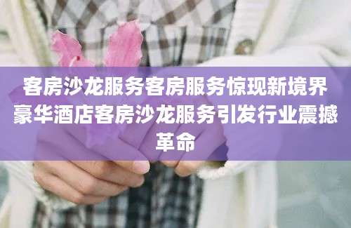客房沙龙服务客房服务惊现新境界豪华酒店客房沙龙服务引发行业震撼革命