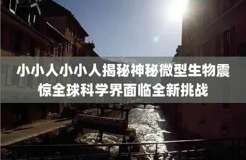 小小人小小人揭秘神秘微型生物震惊全球科学界面临全新挑战