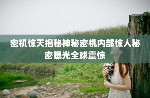 密机惊天揭秘神秘密机内部惊人秘密曝光全球震惊