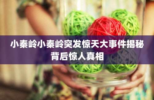 小秦岭小秦岭突发惊天大事件揭秘背后惊人真相