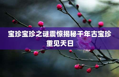 宝珍宝珍之谜震惊揭秘千年古宝珍重见天日