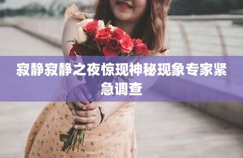 寂静寂静之夜惊现神秘现象专家紧急调查