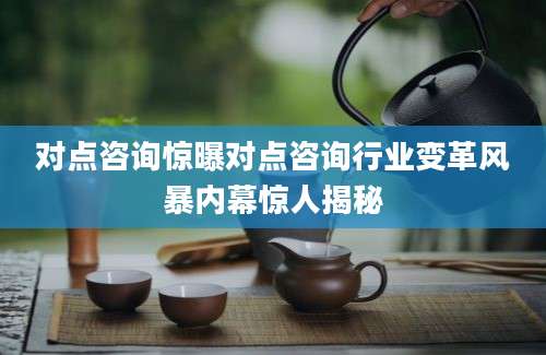 对点咨询惊曝对点咨询行业变革风暴内幕惊人揭秘