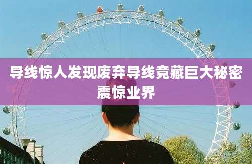导线惊人发现废弃导线竟藏巨大秘密震惊业界