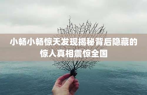 小畅小畅惊天发现揭秘背后隐藏的惊人真相震惊全国