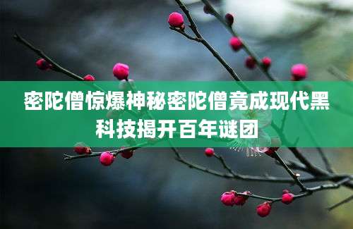 密陀僧惊爆神秘密陀僧竟成现代黑科技揭开百年谜团