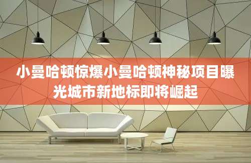 小曼哈顿惊爆小曼哈顿神秘项目曝光城市新地标即将崛起