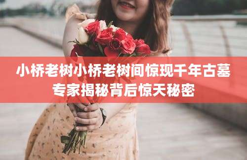 小桥老树小桥老树间惊现千年古墓专家揭秘背后惊天秘密