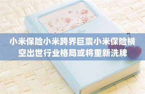小米保险小米跨界巨震小米保险横空出世行业格局或将重新洗牌