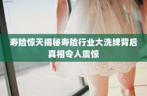 寿险惊天揭秘寿险行业大洗牌背后真相令人震惊