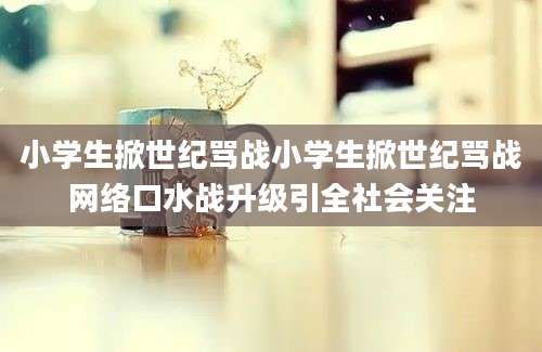 小学生掀世纪骂战小学生掀世纪骂战网络口水战升级引全社会关注