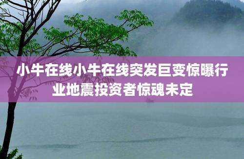 小牛在线小牛在线突发巨变惊曝行业地震投资者惊魂未定
