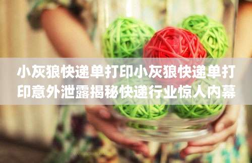 小灰狼快递单打印小灰狼快递单打印意外泄露揭秘快递行业惊人内幕