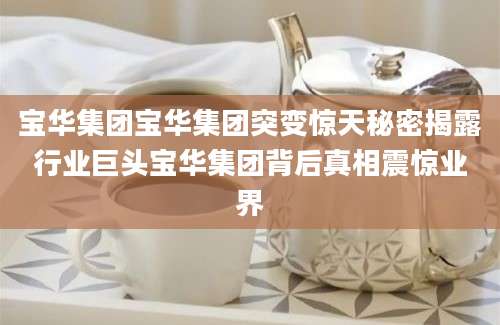 宝华集团宝华集团突变惊天秘密揭露行业巨头宝华集团背后真相震惊业界