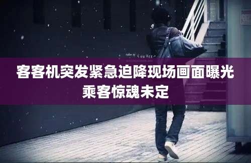 客客机突发紧急迫降现场画面曝光乘客惊魂未定