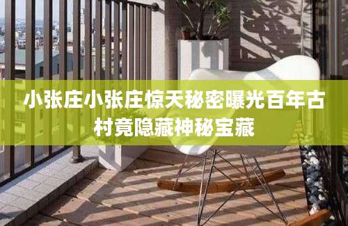 小张庄小张庄惊天秘密曝光百年古村竟隐藏神秘宝藏
