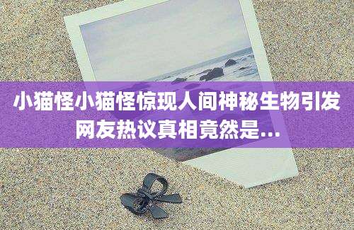 小猫怪小猫怪惊现人间神秘生物引发网友热议真相竟然是...